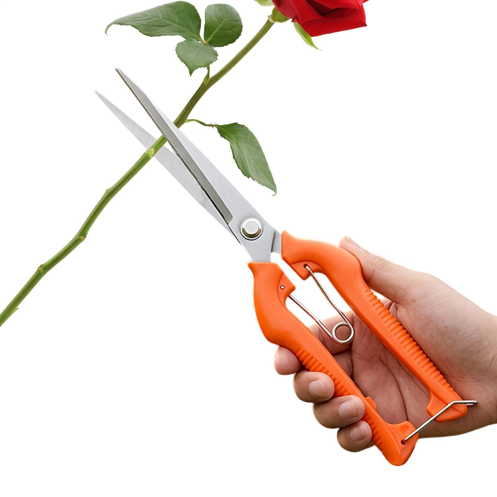 Bonsai Garden Rake - Tesoura de Poda Profissional em Aço