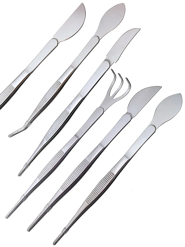 Bonsai Garden Rake - Ancinho de raiz de aço inoxidável