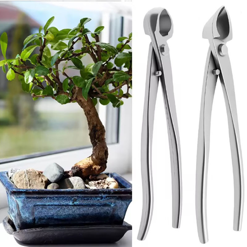 Bonsai Garden Rake - 2 pçs 210mm de aço inoxidável