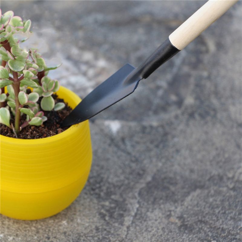 3 pçs mini pá de jardim ancinh - Bonsai Garden Rake avaliação e preço