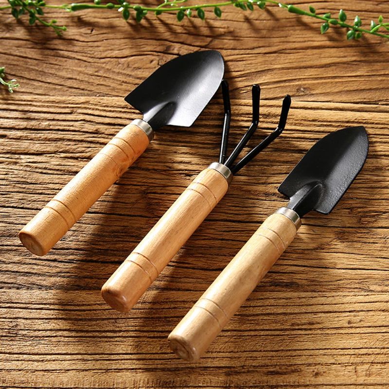 3 pçs mini pá de jardim ancinh - Bonsai Garden Rake avaliação e preço