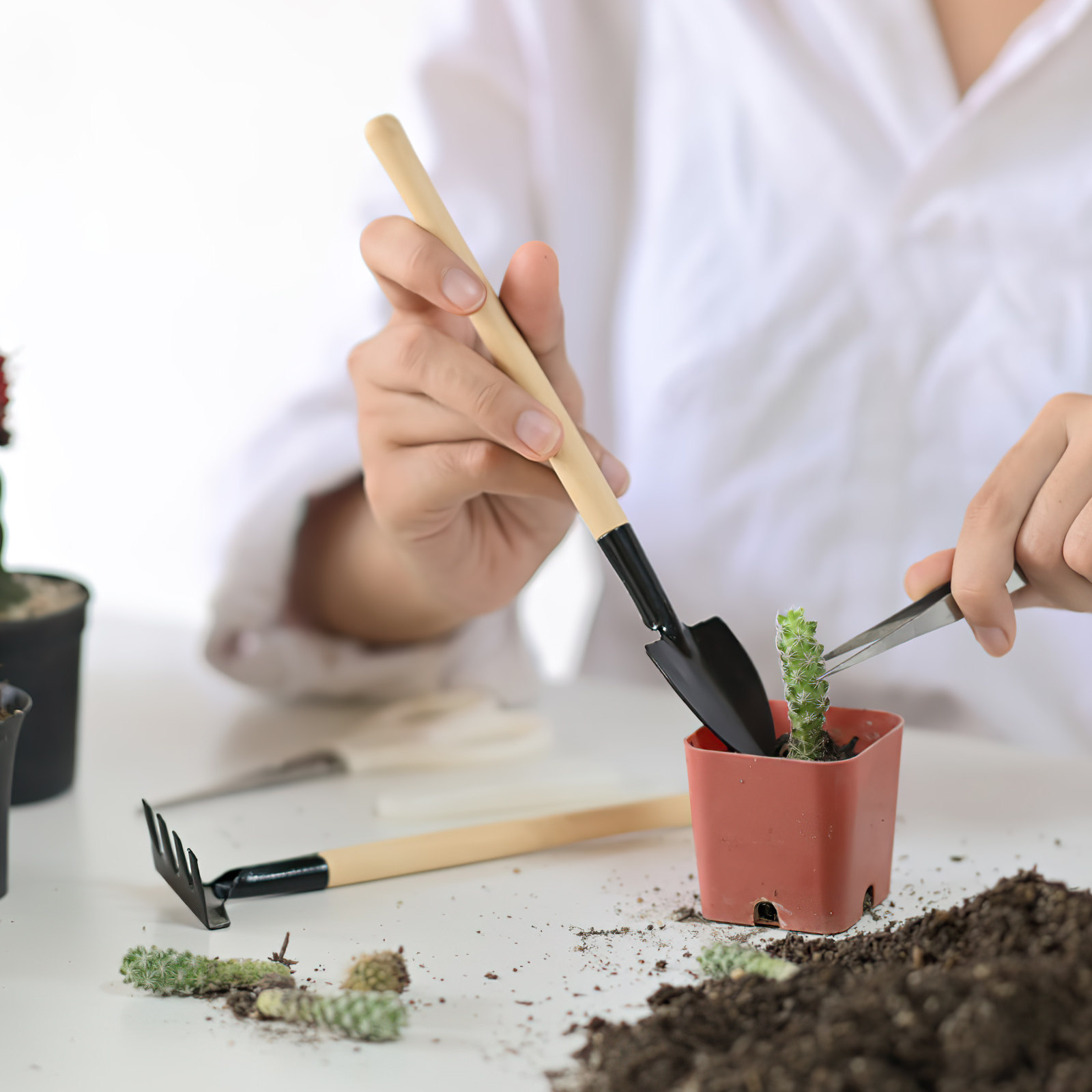 2 Conjuntos de Ferramentas de  - Bonsai Garden Rake avaliação e preço