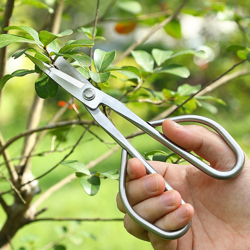 Tesoura de folhas macias, ferr - Bonsai Garden Rake avaliação e preço