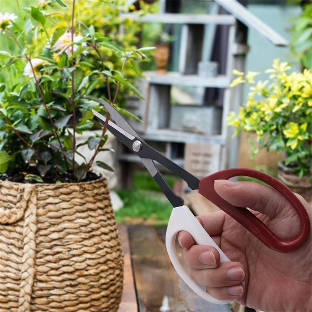 Ferramenta para bonsai, cabo l - Bonsai Garden Rake avaliação e preço