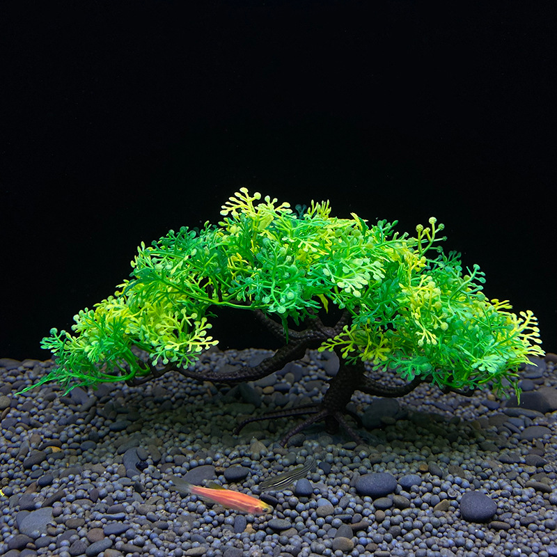 Árvore bonsai de aquário, plan - Bonsai Garden Sushi avaliação e preço