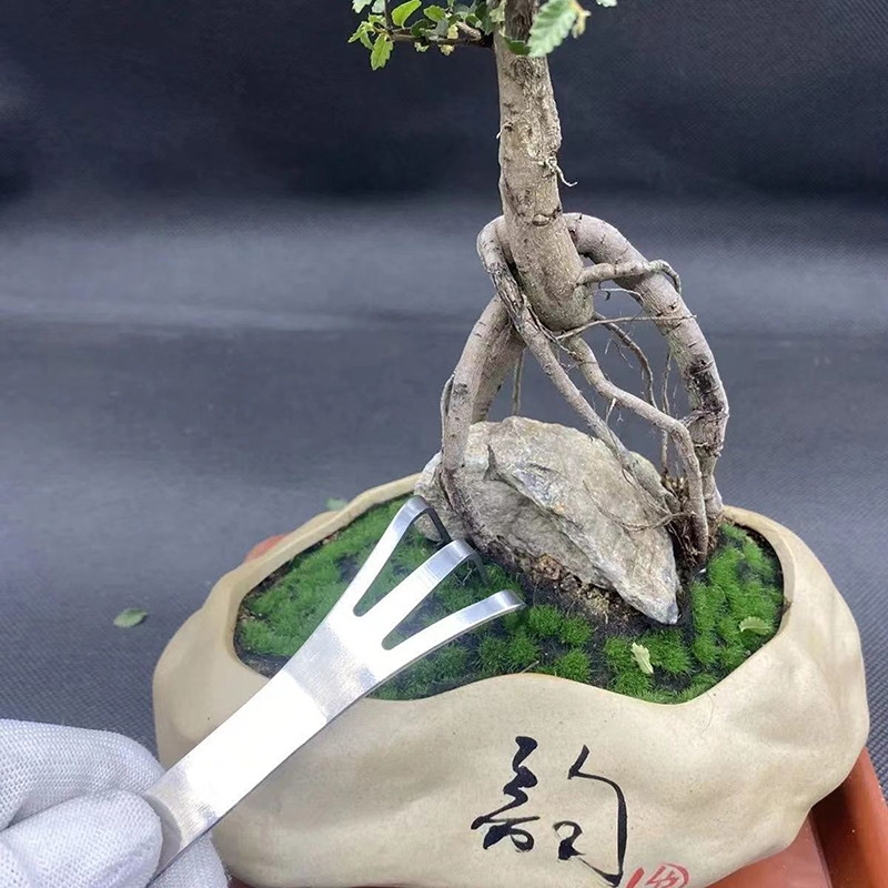 Ancinho de raiz de aço inoxidá - Bonsai Garden Rake avaliação e preço